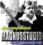   magnusstudio